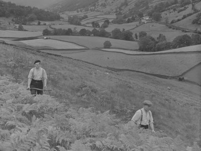 Dos hombres segando helechos de Joseph Hardman