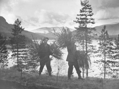Dos jóvenes llevan pequeños árboles de Navidad en la orilla de Thirlmere de Joseph Hardman