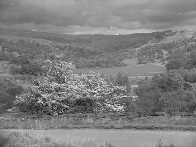Vista de un lago en Rydal de Joseph Hardman