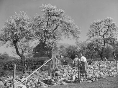 Albañiles trabajando en un muro de piedra seca de Joseph Hardman