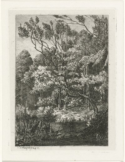 vista al bosque de Joseph Hartogensis