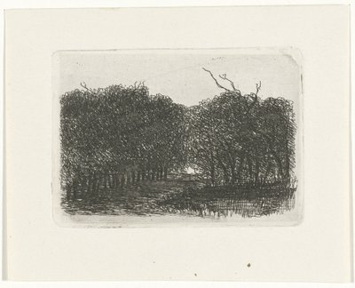vista al bosque de Joseph Hartogensis