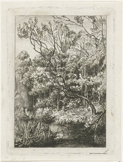 vista al bosque de Joseph Hartogensis