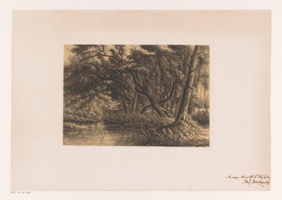 Paisaje forestal con pantanos de Joseph Hartogensis