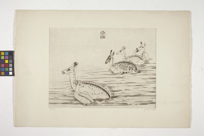 Cerfs Indochinois I (Ciervos Indochinos I) (grabado sobre papel tejido crema) de Joseph Hecht