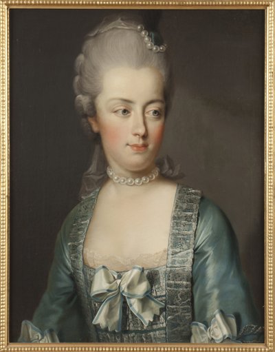 Retrato de la archiduquesa María Antonieta de Austria, reina de los franceses de Joseph Hickel
