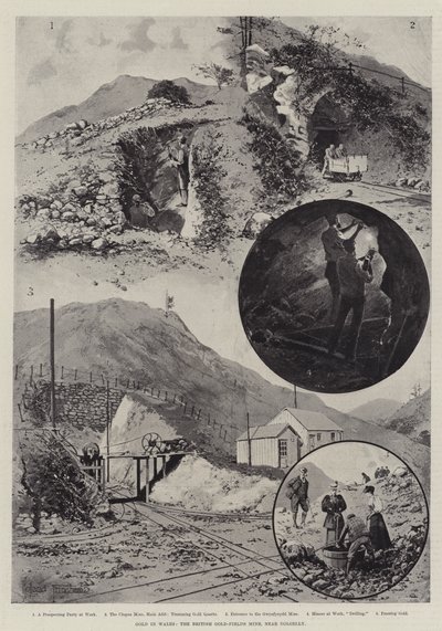 Oro en Gales, la mina de campos de oro británicos, cerca de Dolgelly de Joseph Holland Tringham