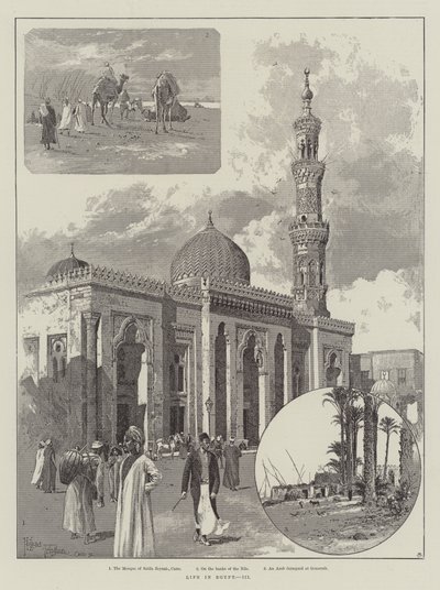 Vida en Egipto de Joseph Holland Tringham