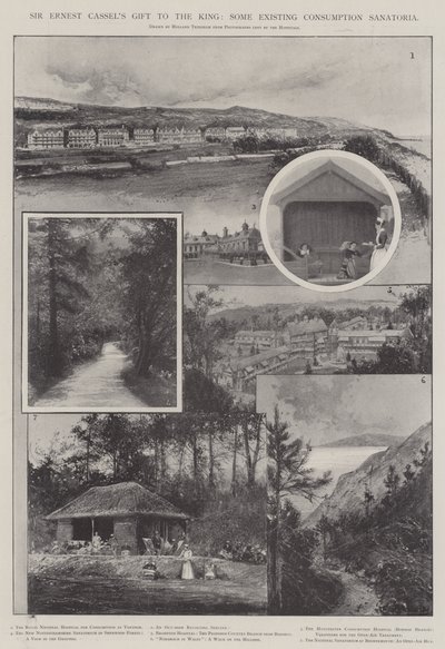 El regalo de Sir Ernest Cassel al rey, algunos sanatorios existentes para la tuberculosis de Joseph Holland Tringham