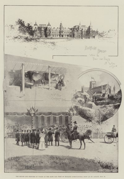 El Príncipe y la Princesa de Gales en la Feria Agrícola del Oeste de Inglaterra en St Albans, 29 de mayo de Joseph Holland Tringham