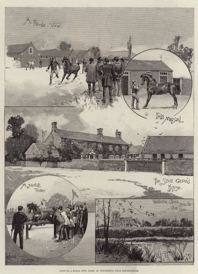 Visita a una Granja de Estudio Real, en Wolferton, cerca de Sandringham de Joseph Holland Tringham