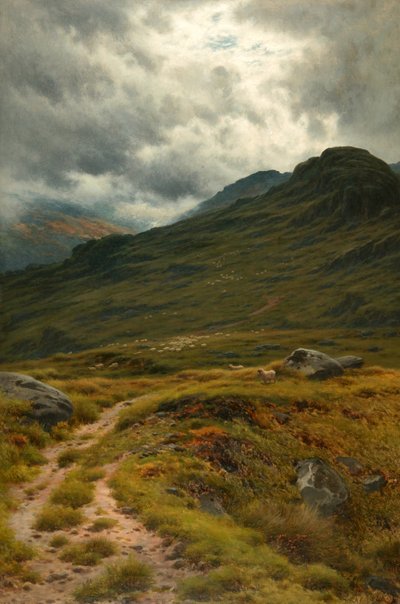 Niebla elevadora de Joseph Knight