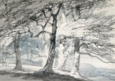 Parque Norbury, Surrey de Joseph Mallord William (attr.to) Turner
