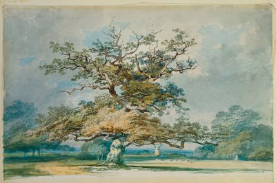 Un paisaje con un viejo roble de Joseph Mallord William Turner