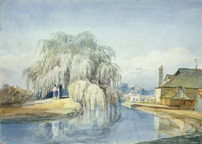 Un sauce llorón de Joseph Mallord William Turner