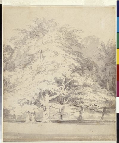 Hayas (tinta gris lavada sobre lápiz sobre papel blanco) de Joseph Mallord William Turner