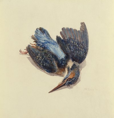 Martín pescador, del Libro de Aves de Farnley, c.1816 de Joseph Mallord William Turner