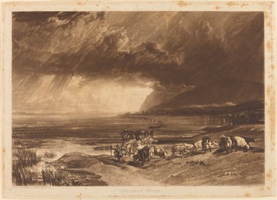 Solway Moss de Joseph Mallord William Turner and Thomas Goff Lupton
