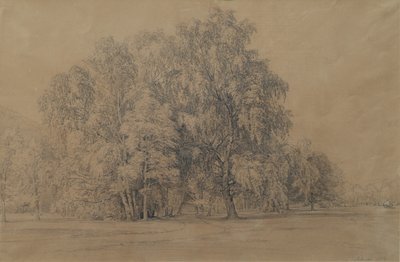 Grupo de abedules en el parque del castillo de Seebenstein en Baja Austria de Joseph Martin Höger