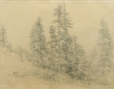 diente precioso de Joseph Martin Höger