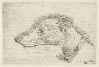 cabeza de un galgo de Joseph Mendes da Costa