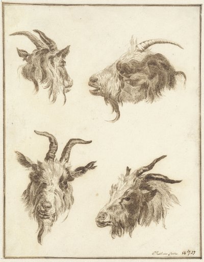 Cuatro estudios de cabezas de cabra de Joseph Mendes da Costa