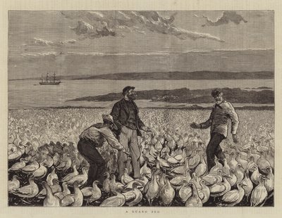 Una cama de guano de Joseph Nash