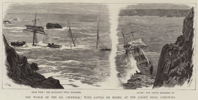 El naufragio del SS Suffolk, con ganado a bordo, en Lizard Head, Cornwall de Joseph Nash