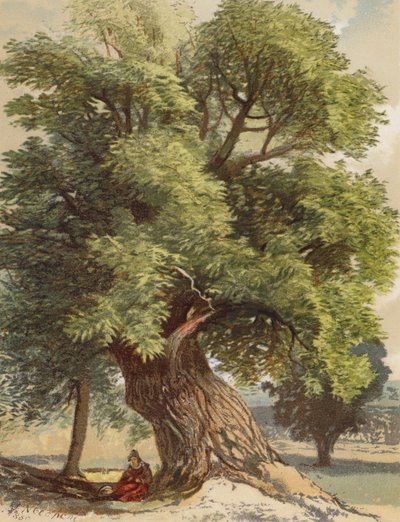 Old Chestnut (litografía en color) de Joseph Needham