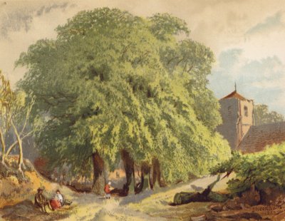 Escena de pueblo, limas (litografía en color) de Joseph Needham