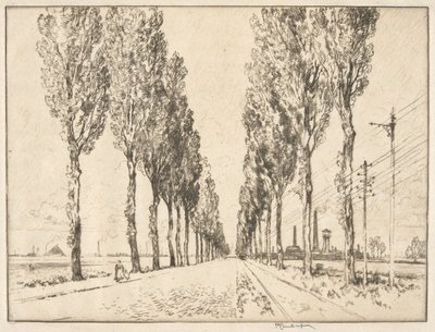 La avenida cerca de Valenciennes de Joseph Pennell