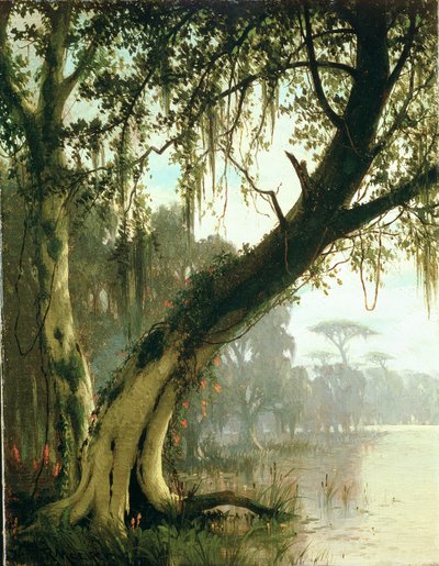 En el Bayou de Joseph Rusling Meeker