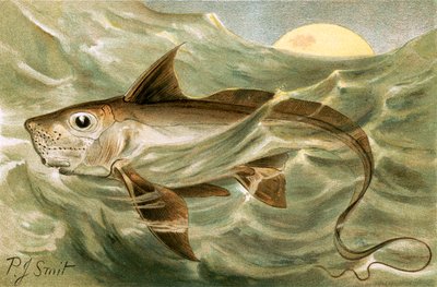 Quimera de Joseph Smit