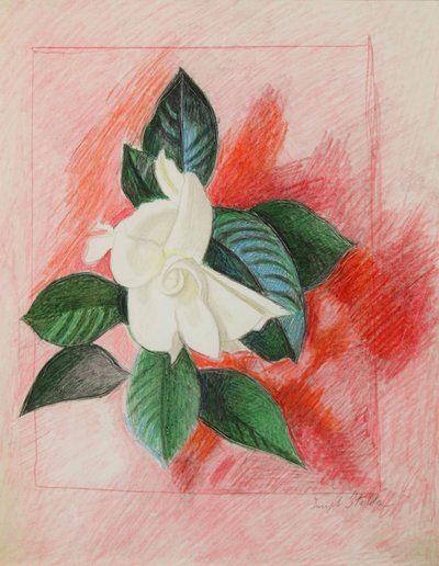 Gardenia, c.1940 (lápiz de color y grafito sobre papel) de Joseph Stella