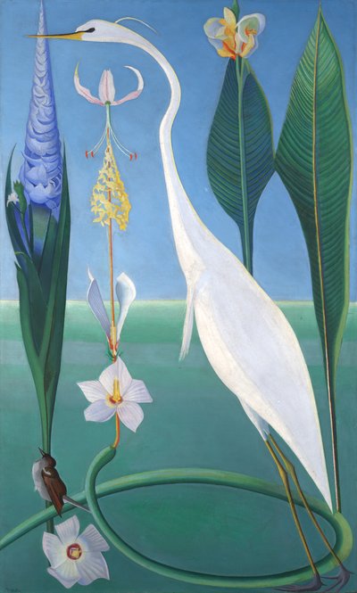 la garza blanca de Joseph Stella