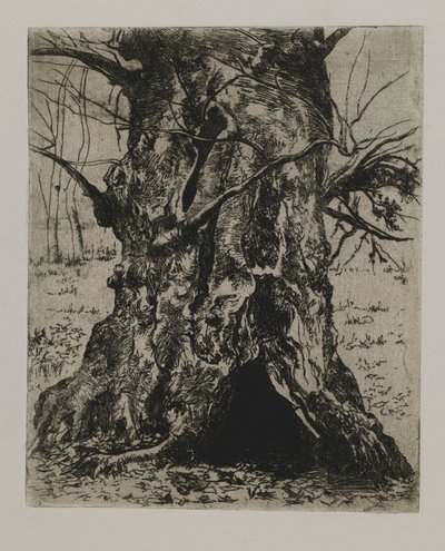Sin título--Tronco de árbol de Joseph Stella