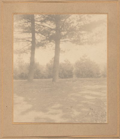 Paisaje con árboles de Joseph T. Keiley