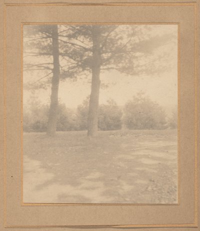 Paisaje con árboles,c. 1900 (foto) de Joseph T. Keiley