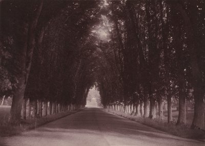 Camino de entrada, Château de Grand-Vaux, Savigny-sur-Orge, la casa familiar de Vigier,c. 1855 (foto) de Joseph Vigier