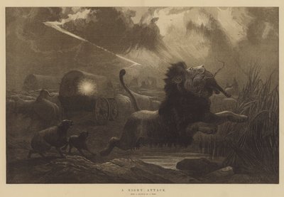 Un ataque nocturno de Joseph Wolf