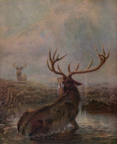 Interrumpido, 1875, 1938 de Joseph Wolf