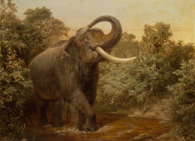 El monstruo colmillo de Joseph Wolf