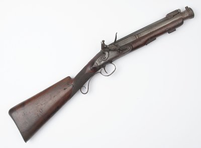 Trabuco con bayoneta de resorte emitido a Voluntarios Irlandeses, c.1815 de Joseph Wood
