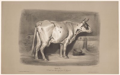 Vaca en un establo Vache (título en objeto) Estudios con animales en dos tipos de tiza (título de la serie) Etude aux deux crayons par Z. Gengembre (título de la serie sobre el objeto) de Joseph Zephyris Gengembre
