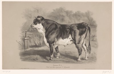 Toro en un prado Taureau (título sobre objeto) Estudios con animales en dos tipos de tiza (título de la serie) Etude aux deux crayons par Z. Gengembre (título de la serie sobre el objeto) de Joseph Zephyris Gengembre