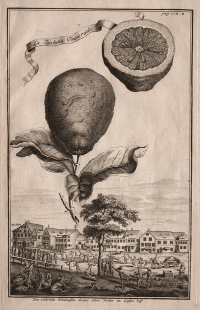 Nurnbergische Hesperides: La Luchetta Imoperiale, 1714 de Joseph de Montalegre