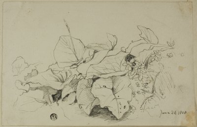 Grupo de Hojas y Flores de Joshua Cristall