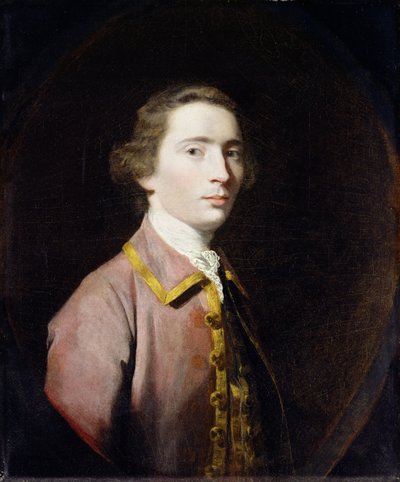 Charles Carroll de Carrollton de Joshua Reynolds