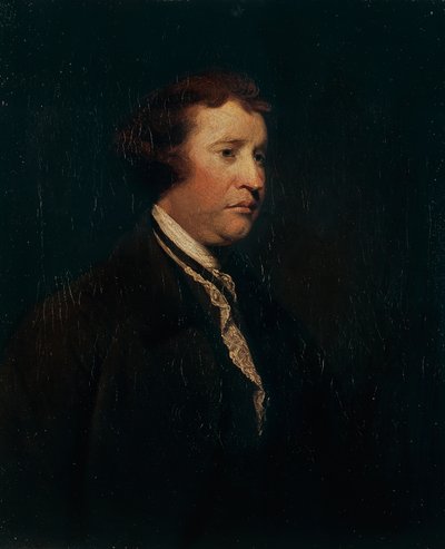 Retrato de Edmund Burke, c.1769 de Joshua Reynolds