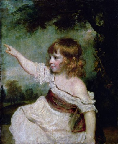 Retrato de Francis George Hare, hijo mayor de Francis Hare Naylor (1753-1815) 1788-9 de Joshua Reynolds